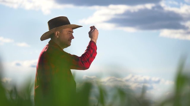 A male farmer in a hat stands in a field with a tablet, uses modern technology to monitor the condition of the field, determine plant diseases, and calculate fertilizers