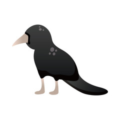 dark raven degradient style icon