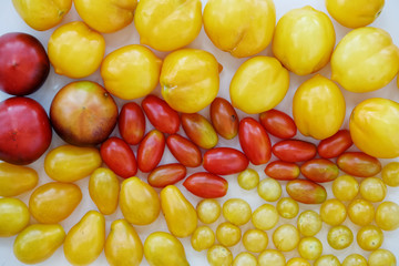 Texture made of fresh and ripe yellow and red tomatoes. Various heirlooms of tomatoes background. Organic food.
