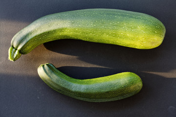 Two long zucchini vegetables. Flat lay arrangement, bigger courgette above smaller object. Black background with sunlight.