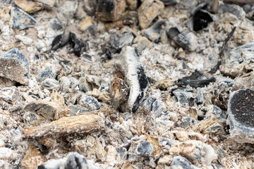 Fototapeta premium Wood extinguished charcoal in the grill barbecue grill background wallpaper