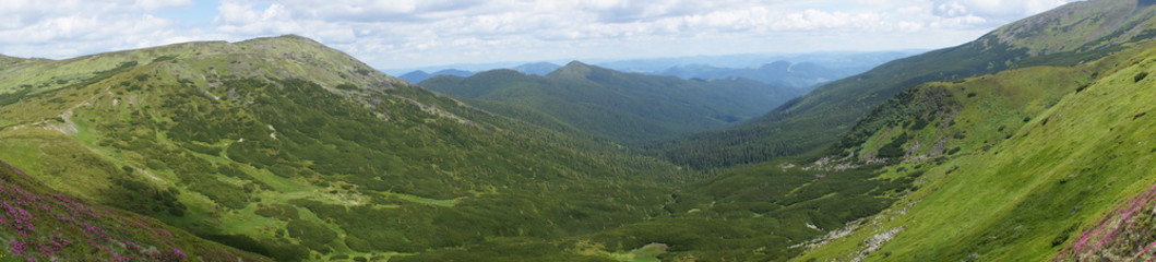 Obraz premium the mountains