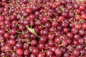 Fresh cherry on the counter of a street market. Healthy eating concept.