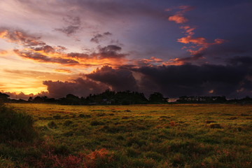 Fototapeta na wymiar Sunrise over the meadow