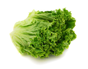 Bunch of fresh green salad isolated over white