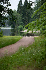 Rocks and trees reflected in the lake water