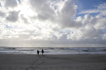 beautiful cloudy beach in winter