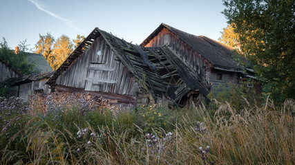 Ruined old wooden house in a village in summer