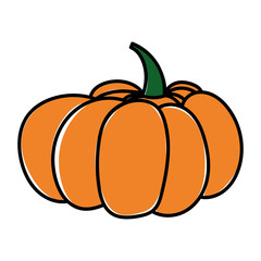 Pumpkin Isolated on White. Halloween vector illustration