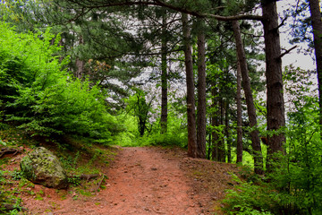 Obraz premium A day in the park