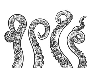 Octopus tentacle set sketch engraving vector illustration. T-shirt apparel print design. Scratch board imitation. Black and white hand drawn image.