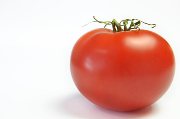One ripe tomato on a bright white background