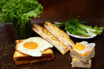 Healthy food with bread, egg, meat, salad, scallion, cheese on dark brown background
