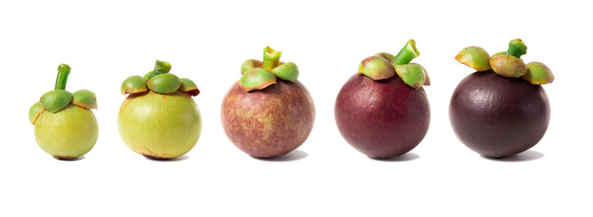 Mangosteen isolated on white background.
