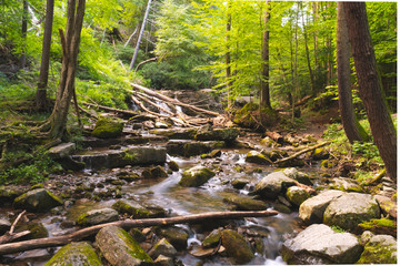 Long Exposure of River gorge stream in the woods