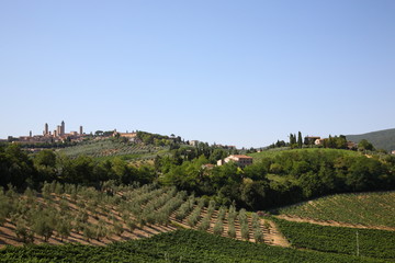 Fototapeta na wymiar View of San Gimignano skyline with wine countryside landscape in San Gimignano, Siena province, Tuscany, Italy
