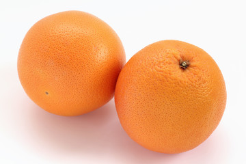 グレープフルーツ（ルビー）
