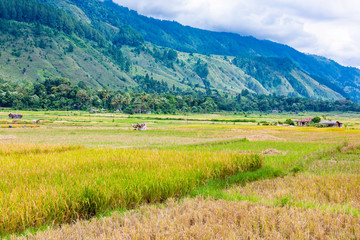 Obraz premium Samosir island in Lake Toba, Sumatra, Indonesia