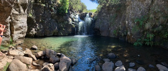 waterfall in the forest with a beautiful lake with clear water, levada do alecrim in madeira island, sunny day with a new sky