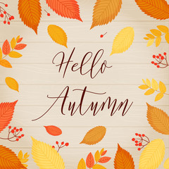 Hello, Autumn. Autumn template in a frame of leaves and berries and an inscription on a light wooden background.