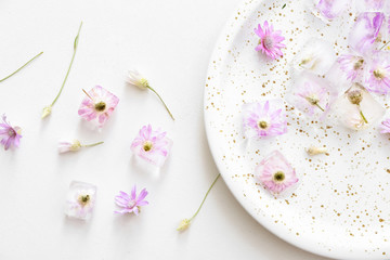 Plate with frozen flowers in ice on white background