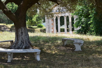 Park archeologiczny Apollonia Albania © Barbara Bajorek