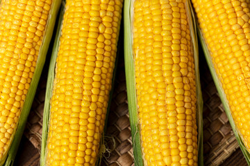 Fresh organic yellow sweet corn on wooden table. Top view
