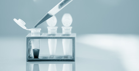  PCR Tube Strips Well  and Pipette in genetic research laboratory close up