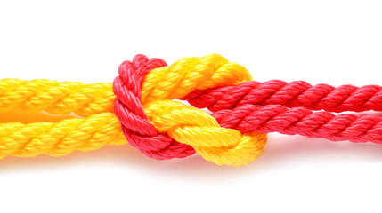 Ropes with knot on white background