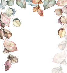 Eucalyptus branches and leave watercolour hand drawn illustration.