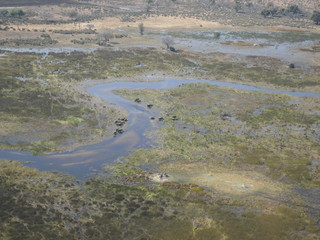 Okavango Delta view from the sky