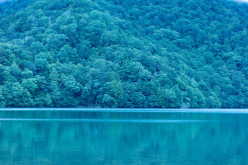 湖と森の風景
