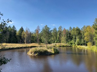 Island in the center of the pond