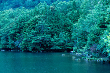 湖と森の風景