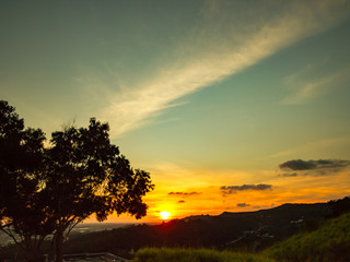 Mountain forest sunset view and the trees' silhouette
