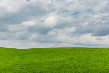 Fototapeta premium Wolken über Grüner Eiese im Sommer