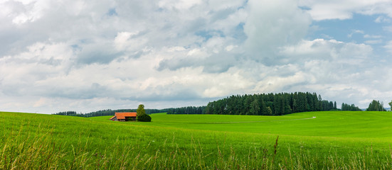 Fototapeta na wymiar Landschaft mit Grünen Wiesen im Allgäu