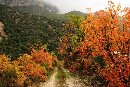 Autumnal colors of mount Taygetus in Peloponnese region, southern Greece.