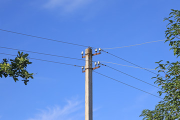 Obraz premium old concrete electric pole among trees against a blue sky