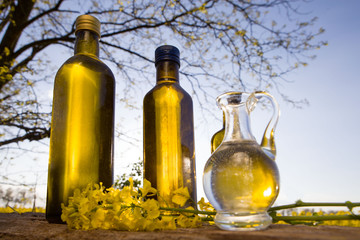 Rapeseed oil set bottles (canola) on background rape field. Yellow