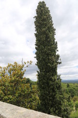 Obraz premium Jardín de los Frailes-El Escorial