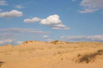 Sand desert landscape with some bushes on the top of dune in Oleshky Sands, Kherson region, Ukraine. The biggest desert in Europe. Yellow sand and sunny blue sky