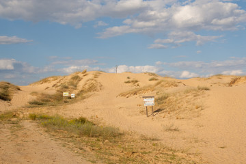 Sand desert landscape with some bushes on the top of dune in Oleshky Sands, Kherson region, Ukraine. The biggest desert in Europe. Yellow sand and sunny blue sky