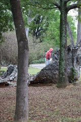 Menino se divertindo em parque