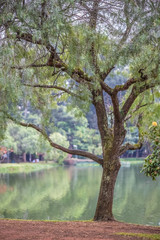 Imagem de parque vazio devido a pandemia e quarentena 