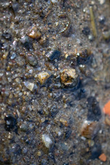 stones, macro, seashells and stones, texture, water