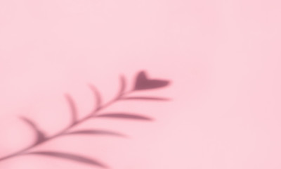 Top view of tropical leaf shadow on pink color background. Flat lay. Minimal summer concept with leaves copyspace. Abstract shadow blurred. Texture for background wallpaper.