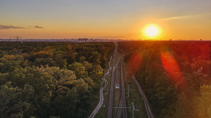 Railway. Railroad in a pine forest. Aerial view.