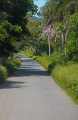 road in the park