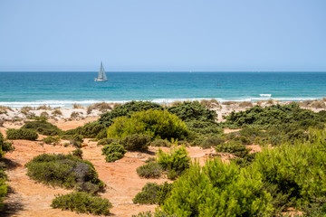 Fototapeta na wymiar Boat passing in front of the sand dunes that give access to La Barrosa beach in Sancti Petri, Cádiz, Spain.